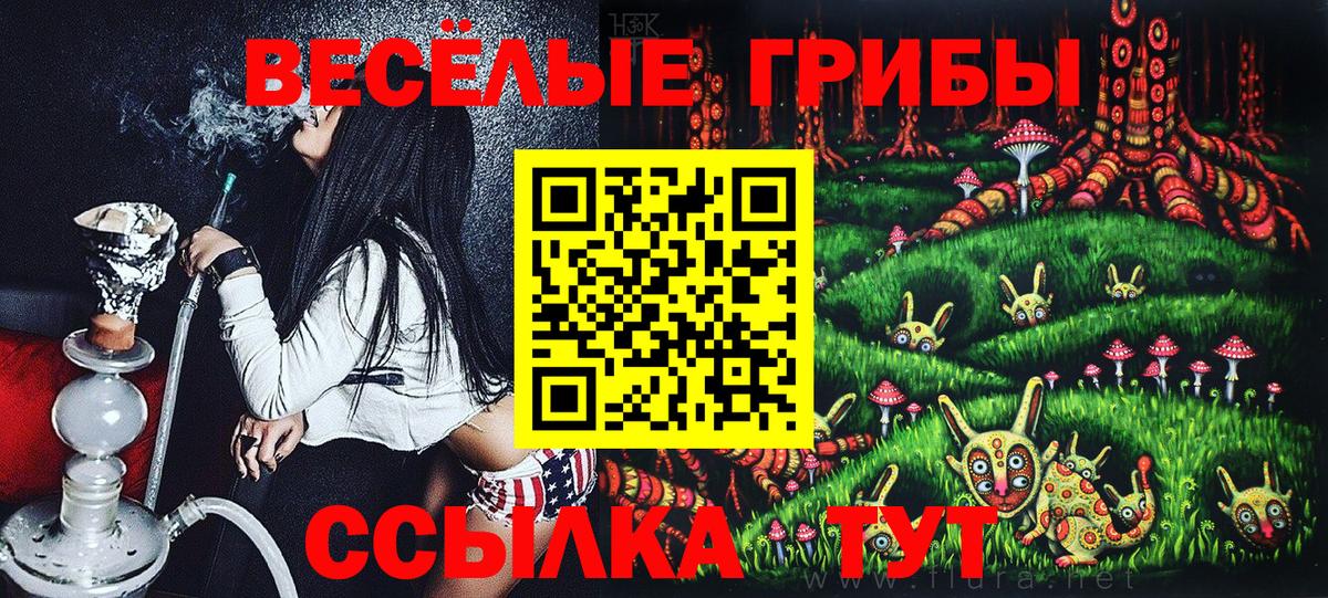 Псилоцибиновые грибы Psilocybine cubensis  где купить наркоту  Волгодонск  Вход с VPN 
